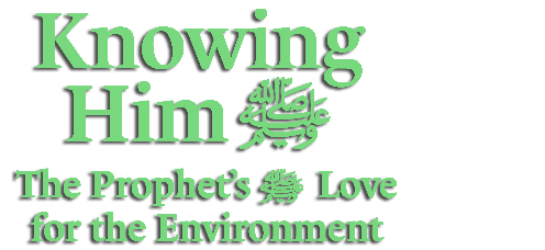 Knowing Him ﷺ: His Love for the environment